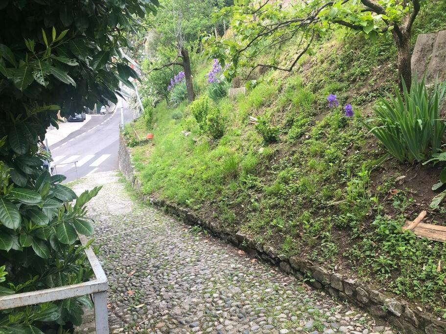 Casa Orchidea Apartment Oria  ภายนอก รูปภาพ
